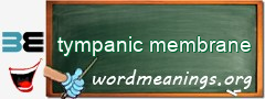 WordMeaning blackboard for tympanic membrane